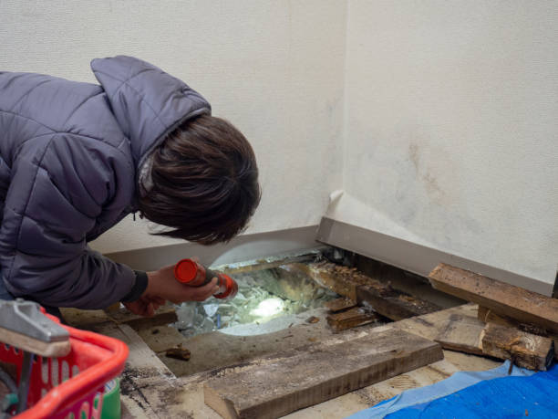 Best Mold Prevention Services  in Bartlett, TN