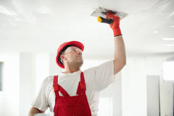 Best Comprehensive Air Testing for Mold Contaminants  in Bartlett, TN