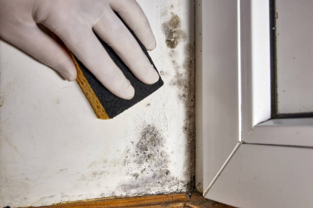 Dehumidification Services in Bartlett, TN